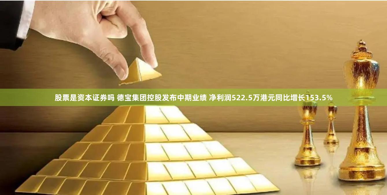 股票是资本证券吗 德宝集团控股发布中期业绩 净利润522.5万港元同比增长153.5%