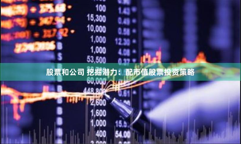 股票和公司 挖掘潜力：配市值股票投资策略