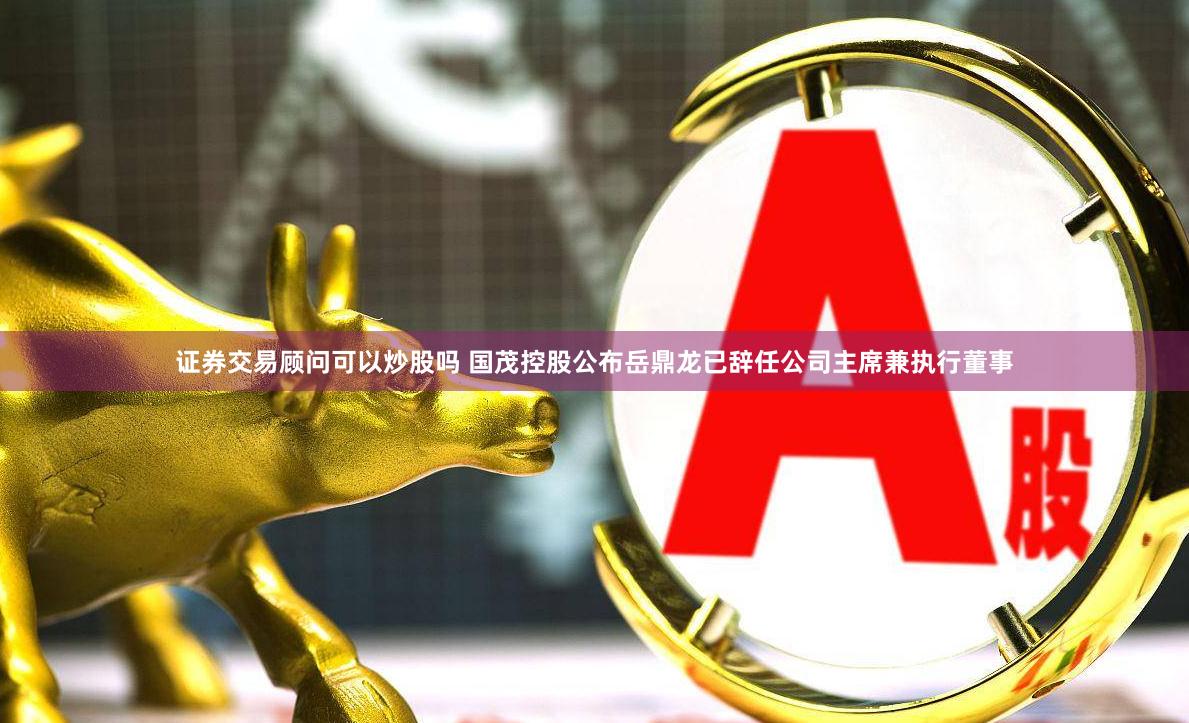 证券交易顾问可以炒股吗 国茂控股公布岳鼎龙已辞任公司主席兼执行董事