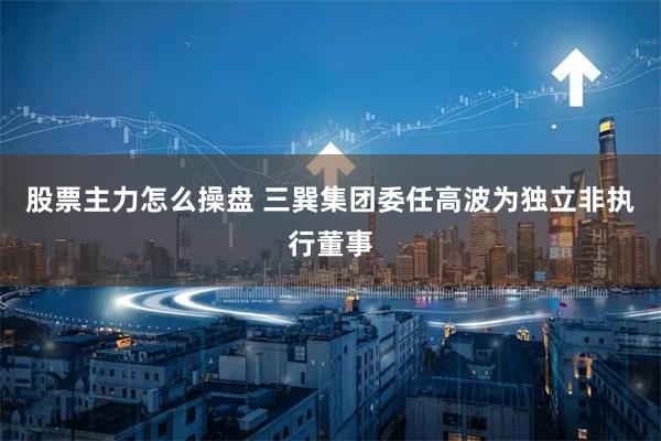 股票主力怎么操盘 三巽集团委任高波为独立非执行董事