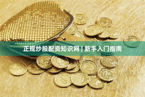 正规炒股配资知识网 | 新手入门指南